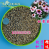 批發2018年新種子松果菊種子綠化盆栽花境紫錐花種子紫錐菊包郵