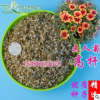 批發2018年新種子高桿天人菊種子綠化芳香花卉耐風虎皮菊種子包郵