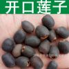 水生植物 開口蓮子種子 睡蓮 小荷花種子 芙蓉花 開口碗蓮種子