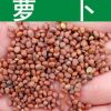 蔬菜種子新采優(yōu)質(zhì)蘿卜種子青紅白蘿卜陽(yáng)臺(tái)種植散稱混裝型萊菔種子