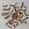 綠豐耀種業(yè) 批發(fā)林木楓樹種子 雞爪楓 雞爪槭樹種子