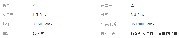QQ截图20181229143348