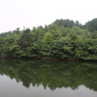 近現(xiàn)代建設(shè)：園林綠化的修建背景，發(fā)展情況