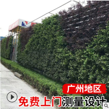 廣東綠化工程綠色植物墻室外景觀裝飾背景立體垂直綠化植物墻工程