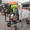 手推園林果園噴農(nóng)藥機 高壓噴霧機 手推式噴霧器價格