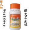 根太陽植物龍盆栽植物生根劑100ML爆發(fā)式生根每瓶可兌水180公斤