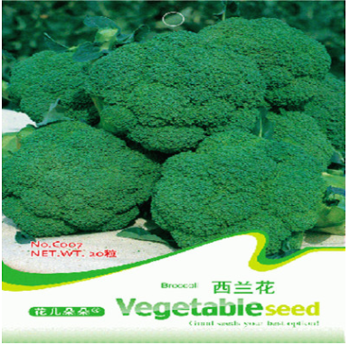 家庭種植原裝彩包 蔬菜種子 西蘭花菜 種子 （50粒）觀賞食用