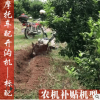 農機補貼宗申動力小型輕便多功能除草松土機旋耕機果園開溝起壟機