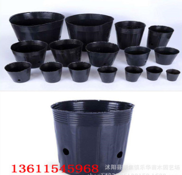 育苗袋 營養(yǎng)缽 黑色營養(yǎng)袋 營養(yǎng)杯 替代花盆 規(guī)格齊全