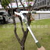 粗枝剪修枝剪大力剪強力果樹剪枝園林園藝省力修剪樹枝剪刀高枝剪
