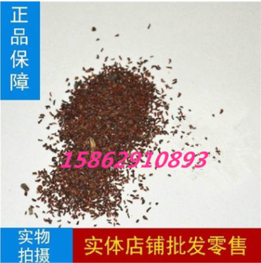 批發(fā)桉樹(shù)種子尾葉巨桉藍(lán)桉杏仁桉澳大利亞大小葉桉速生桉樹(shù)種子
