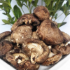 批發原木曬菇 秦嶺野外椴木香菇干貨 野生冬菇 帶腳椴木肉菇500g