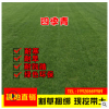 基地直銷四季青綠化護坡固土草坪草皮帶泥土庭院耐寒別墅小區草皮