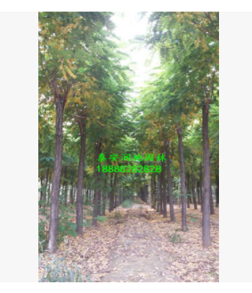 QQ截圖20190227170733