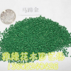 馬蹄金批發(fā) 草坪種子 發(fā)芽率高 量大優(yōu)惠 馬蹄金種子銷售