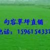 草坪，百慕大草坪，天堂草坪，狗牙根草坪，馬尼拉，農戶自銷