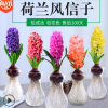 風(fēng)信子種球套裝 冬季水培水養(yǎng)花種子盆栽植物室內(nèi)土培四季開花