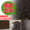 二月蘭種子 園林綠化景觀花籽春播多年生耐陰耐寒花卉種子批發(fā)