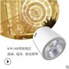 50W明裝筒燈 LED8寸開孔200MM大功率60W 80W 100W 120W明裝筒燈