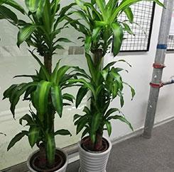 測試數據