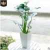 大型龜背竹 大葉 盆栽植物 水生 水培綠植室內(nèi)客廳吸甲醛凈化空氣