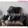 靈璧石精品交易網 白靈璧 白靈玉 白靈石 景觀石 園林