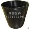營養(yǎng)缽 營養(yǎng)杯