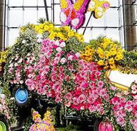 節(jié)日雕塑_花卉雕塑_鮮花造型_活動(dòng)慶典_花藝造型