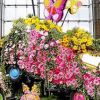 節(jié)日雕塑_花卉雕塑_鮮花造型_活動(dòng)慶典_花藝造型