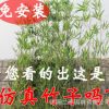 仿真竹子 假竹子屏風(fēng)隔斷高仿真毛竹 加密帶葉造景綠植竹子