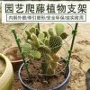 園藝包塑鐵環花支架45CM 支柱鐵線蓮薔薇爬藤植物固定牽引支撐