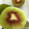 新品種奇異莓軟棗獼猴桃苗配公樹紅陽紅心黃心綠心嫁接獼猴桃苗
