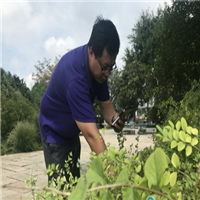 江蘇常州：建設“智慧園林”首用“黑科技”
