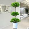 大型盆栽植物搖錢樹發(fā)財(cái)樹金錢榕客廳辦公室綠植招財(cái)樹開業(yè)盆栽