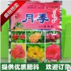 園藝花卉花肥 月季有機肥 玫瑰薔薇通用肥