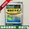果樹防寒抗凍劑植物防凍液 冬季養護多肉花卉蔬菜苗木大樹防凍劑