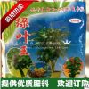 花卉綠葉王肥料橡皮樹發財樹龜背竹巴西木文竹綠蘿200克