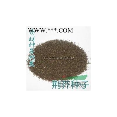 江西雪松4信息
