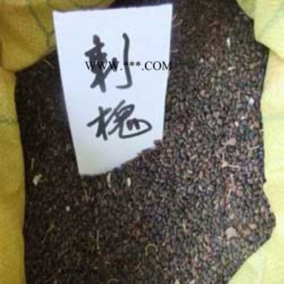 龍柏