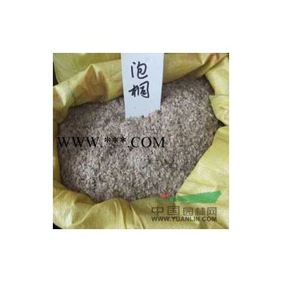供應紅楓種子/江西紅楓種子低價格批發