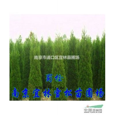 榔榆價格|18公分榔榆價格|15公分無患子價格