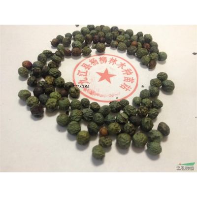 ＜供應精品櫻花、櫻花苗木價格、精品晚櫻＞