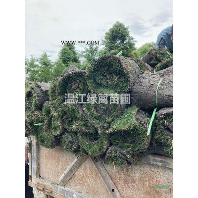 烏桕種植基地
