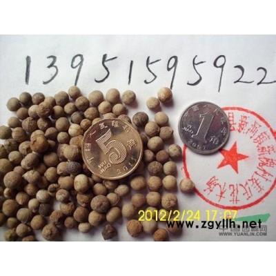 云南黃馨南迎春花江蘇紅王子錦帶花紅瑞木連翹木槿價格低包郵寄