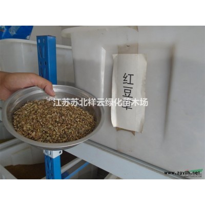 丁香種子價(jià)格，白玉蘭種子價(jià)格，香椿種子價(jià)格