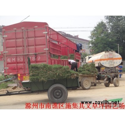 供應各種規格楓楊
