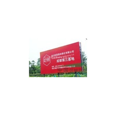 低價(jià)處理蒲葵米徑25公分11棵