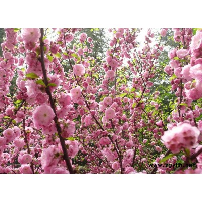遮陽網(wǎng)、防曬網(wǎng)