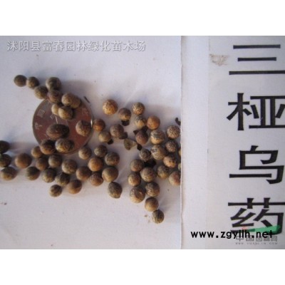 創(chuàng)意動(dòng)物造型雕塑戶外綠化工程造景植物雕塑廠家定制仿真綠雕