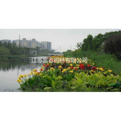 綠雕仿真綠雕植物造型綠雕制作綠雕動(dòng)物景觀植物雕塑城市園林景觀